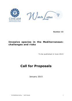 Watch Letter 33 - Call for Proposals