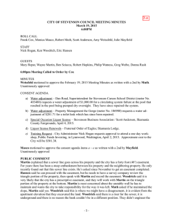 City Councuil Minutes 3-19-15