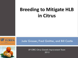 Breeding to Mitigate HLB in Citrus