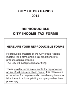 2014 Full Packet - the City of Big Rapids