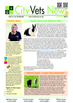 Kennel Cough â is your dog vaccinated? Rabbit Awareness Month