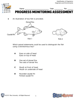 1 An illustration of two fish is provided. Which paired statements