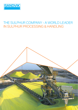 THE SULPHUR COMPANY - A WORLD LEADER IN