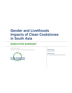 Gender and Livelihoods Impacts of Clean Cookstoves in South Asia