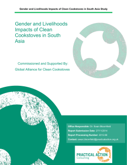Gender and Livelihoods Impacts of Clean Cookstoves in South Asia