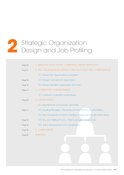 Strategic Organization Design and Job Profiling