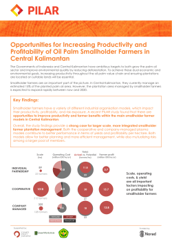 Opportunities for Increasing Productivity and Profitability of Oil Palm