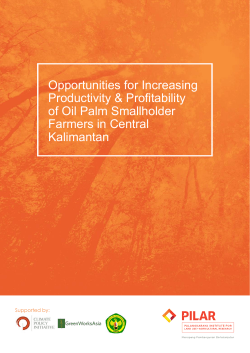 Opportunities for Increasing Productivity & Profitability of Oil Palm