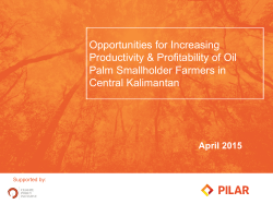 Opportunities for Increasing Productivity & Profitability of Oil Palm