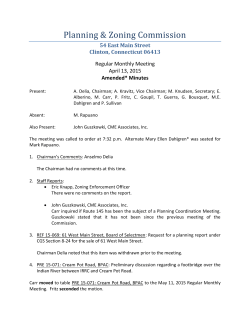 2015-04-13 Minutes Planning And Zoning (1)