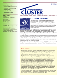 CLUSTER turns 40!