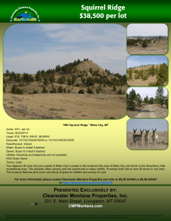 Squirrel Ridge $38,500 per lot - Clearwater Montana Properties
