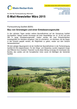 FNO-Newsletter 2015 03 - Rhein-Neckar