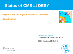 Report - the CMS group at DESY!