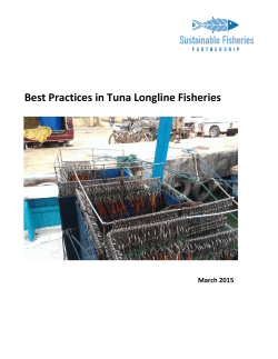 Best Practices in Tuna Longline Fisheries
