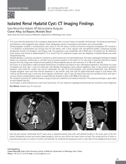 Isolated Renal Hydatid Cyst: CT Imaging Findings