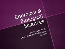 James Sniezek â Dean of Chemical Life Sciences and Biotechnology