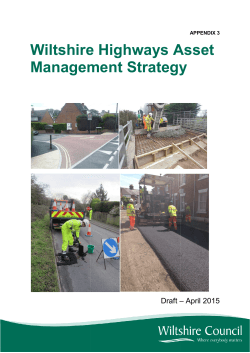 Wiltshire Asset Management Strategy , item 6