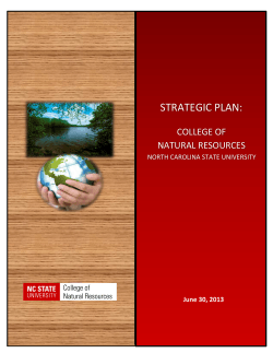 2013-2020 Strategic Plan  - The College of Natural Resources