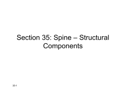 35-Slides - Spine Biomechanics