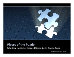 Pieces of the Puzzle