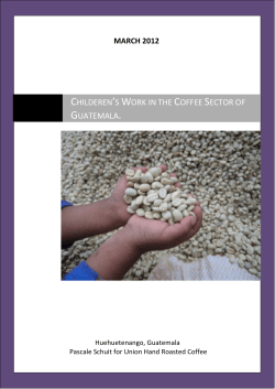 Children`s work in the coffee sector of Guatemala