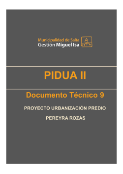 DT 9 - Proyecto Urbanizacion del Predio Pereyra Rozas