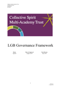 Local Governing Body Governance Framework