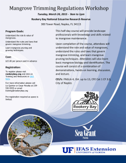 Mangrove Trimming Regulations Workshop