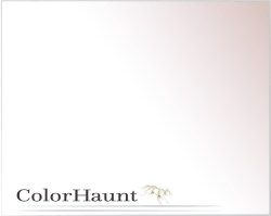 folio - Color Haunt