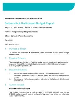 Failsworth & Hollinwood Budget Report PDF 110 KB