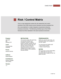 Final Exercise: Risk/Control Matrix Guide