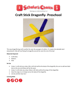 Craft Stick Dragonfly
