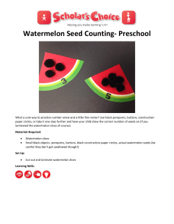 Watermelon Seed Counting