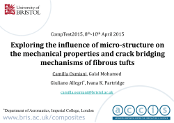 Exploring the influence of micro-structure on the