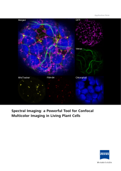 Spectral Imaging: a Powerful Tool for Confocal - Confocal-club