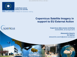 Copernicus Satellite Imagery in support to EU External Action