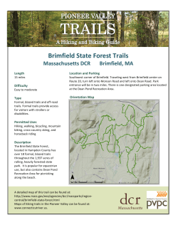 Brimfield State Forest Trails