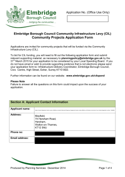 Application Form - Elmbridge Borough Council Consultations