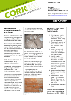 Prevent structural damage. - Cork Construction & Consultancy