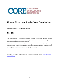 Modern Slavery and Supply Chains Consultation