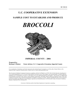 Broccoli  - the University of California, Davis