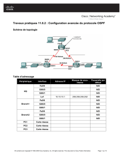 Travaux pratiques 11.6.2 : Configuration avancÃ©e du protocole OSPF