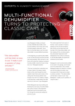Classic Car Collector a4 / 2 pages now