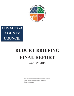 Budget Briefing Final Report 4.29.15