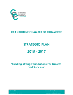 STRATEGIC PLAN 2015 - 2017 - Cranbourne Chamber of Commerce