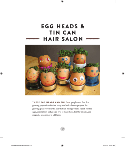 The Egg Heads project