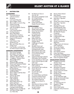 SILENT AUCTION AT A GLANCE