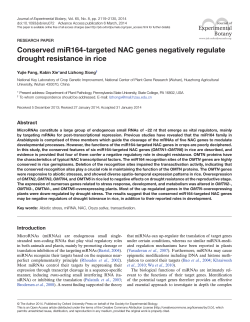 Conserved miR164-targeted NAC genes negatively regulate