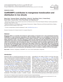 OsNRAMP5 contributes to manganese translocation and distribution